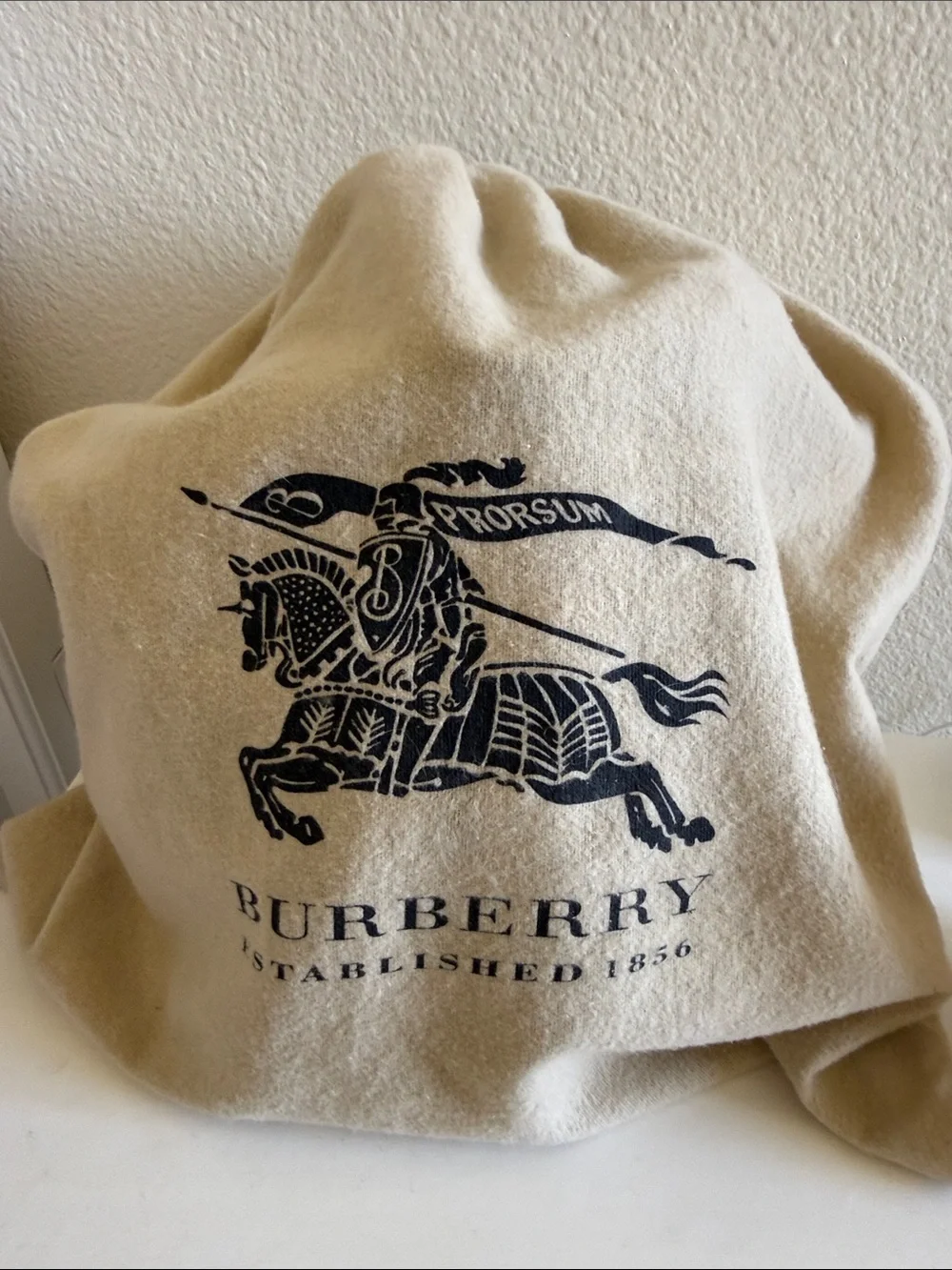 Burberry chic backpack